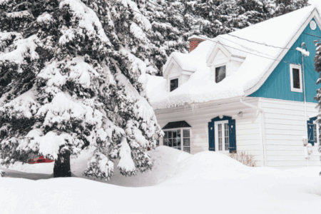 Defend Your Home from Winter Pest Invasion