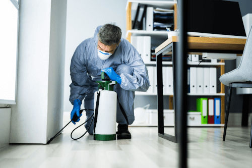 How to Achieve a Pest-Free Commercial Space