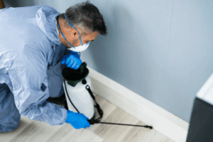 Pest exterminator - Beeline Pest Control Professional pest control technician
