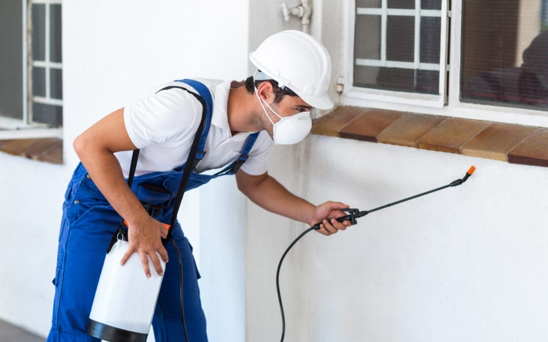 Why Professional Exterminators Are More Efficient