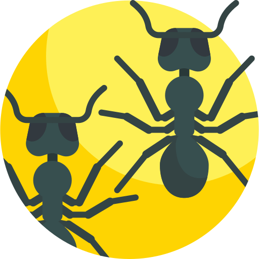 What You Need to Know About Ants in St. George