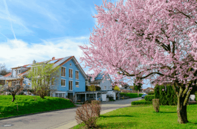 Advantages of Spring Pest Control