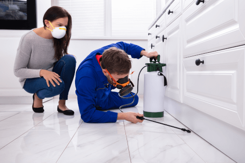 Essential Spring and Summer Pest Control Tips for Utah Homes