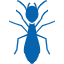 insect Icon of an ant.