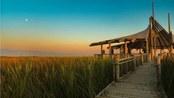 Wetlands and marshy areas.