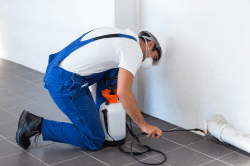 Why DIY Pest Control is Dangerous