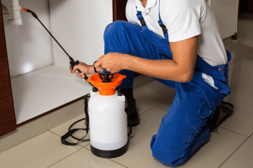 Pest Control Services Utah