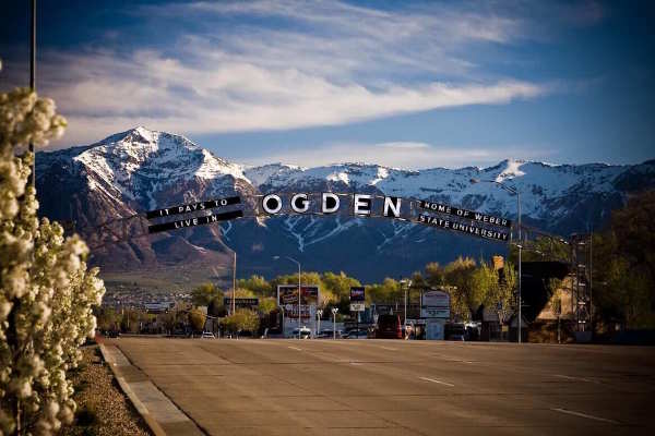 Most Experienced Pest Control in Ogden