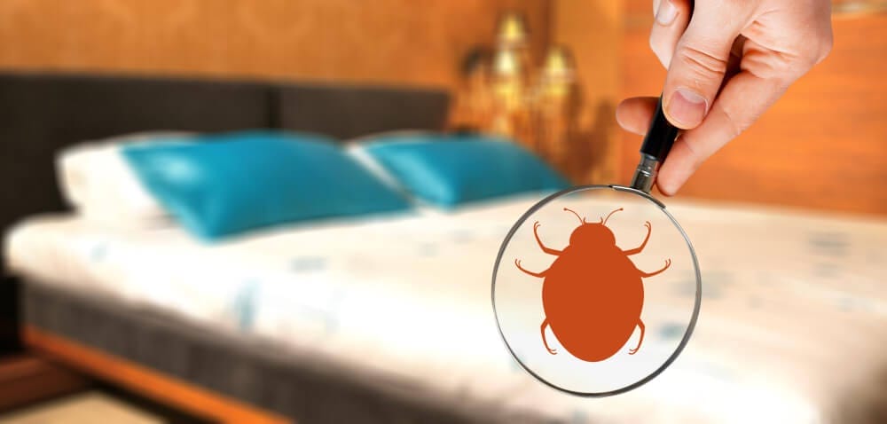 Bed bug infestation detection.