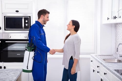Smiling Woman Showing Thumbs Up Sign With Pest Control Worker Smiling Woman