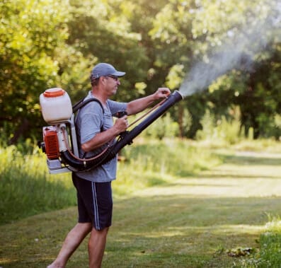 Cockroach Removal in Utah