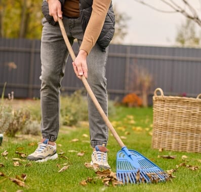 cockroach extermination - utah