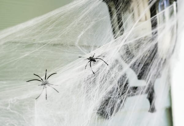 spider-pest
